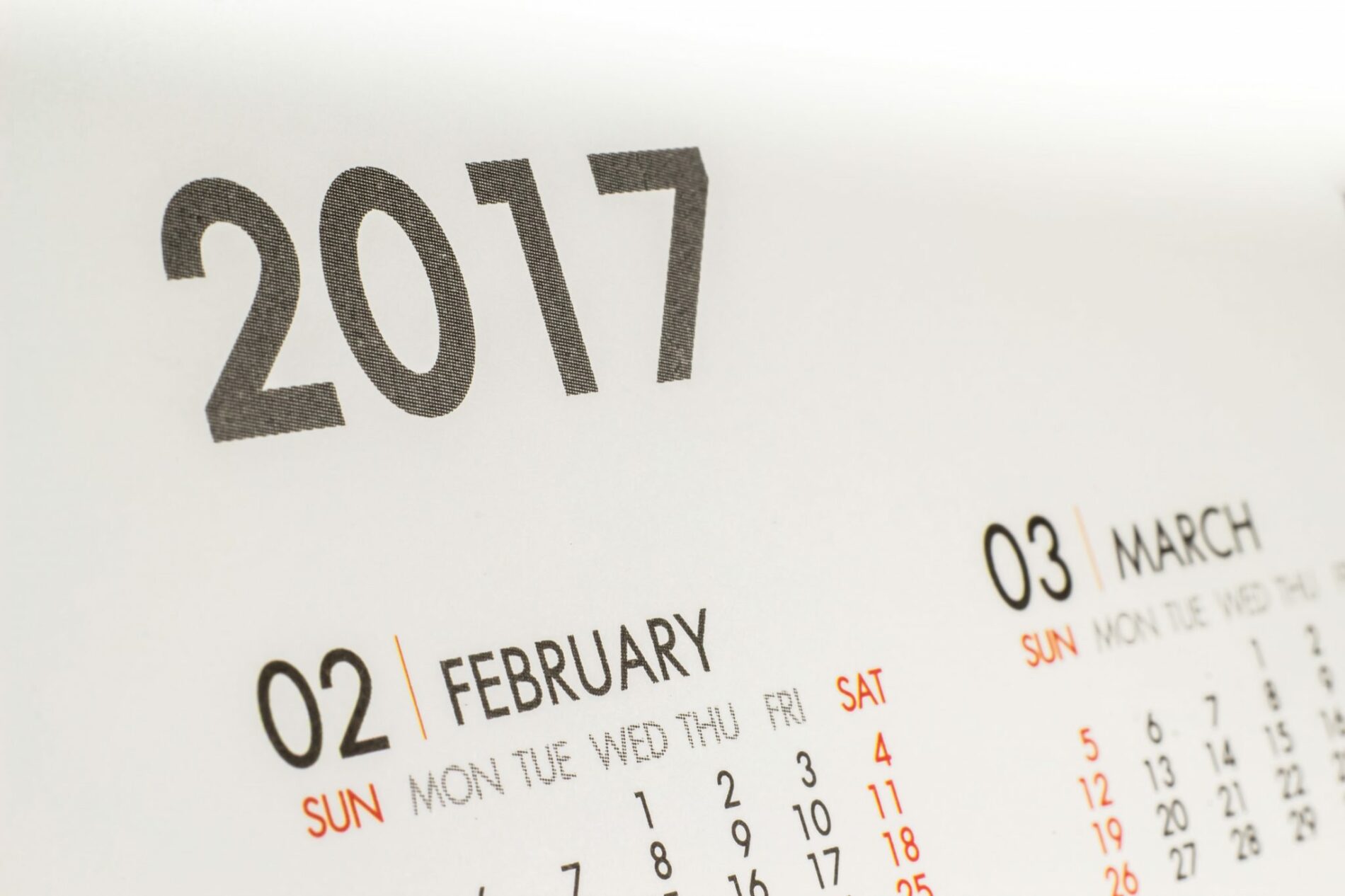 Wording for new year Festival.